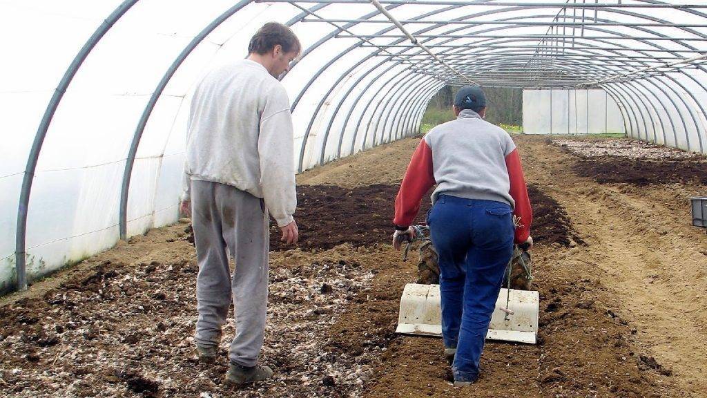 Enmiendasorganicas basqueresearch|Uso agronómico de restos de cosecho en invernaderos